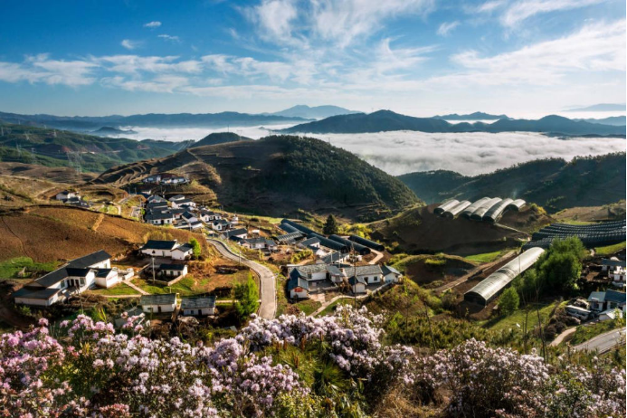 10 W66利来国际电气集团科技兴农 助力凉山火普村打造数字乡村804.png